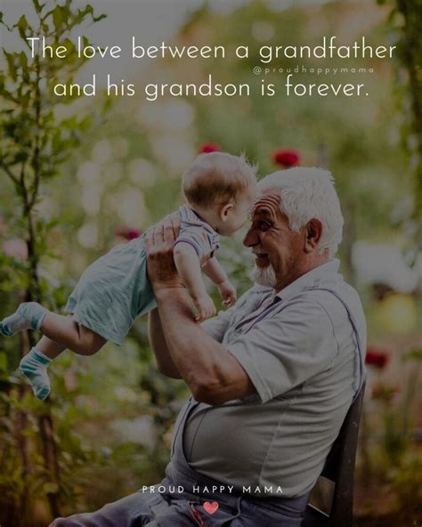 grandpa and grandchildren quotes|grandpa quotes from granddaughter.